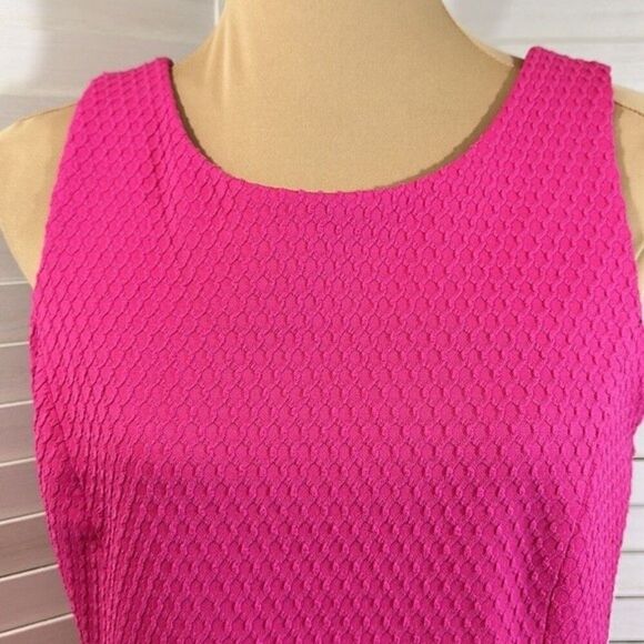 Pappagallo Dress Size 6 Sheath Pink Sleeveless NWT - Picture 5 of 10